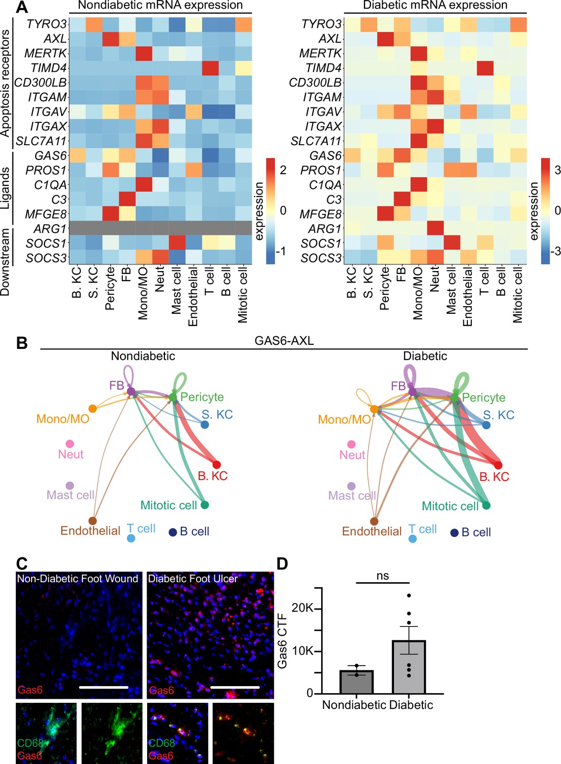 Figures And Data In Apoptosis Recognition Receptors Regulate Skin figures-and-data-in-apoptosis-recognition-receptors-regulate-skin