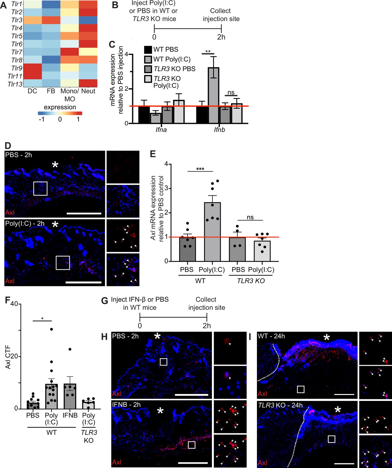 Figures And Data In Apoptosis Recognition Receptors Regulate Skin figures-and-data-in-apoptosis-recognition-receptors-regulate-skin