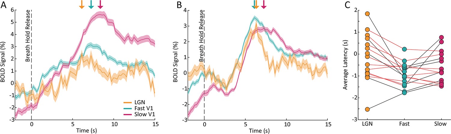 Resting-state FMRI Signals Contain Spectral Signatures Of Local ...