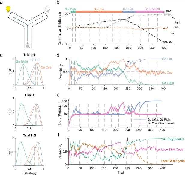 Tracking subjects’ strategies in behavioural choice experiments at trial resolution