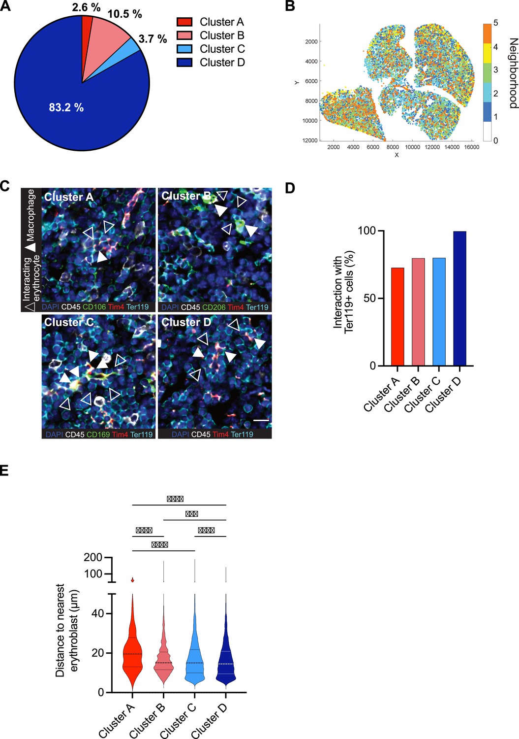 Figures and data in Fetal liver macrophages contribute to the ...