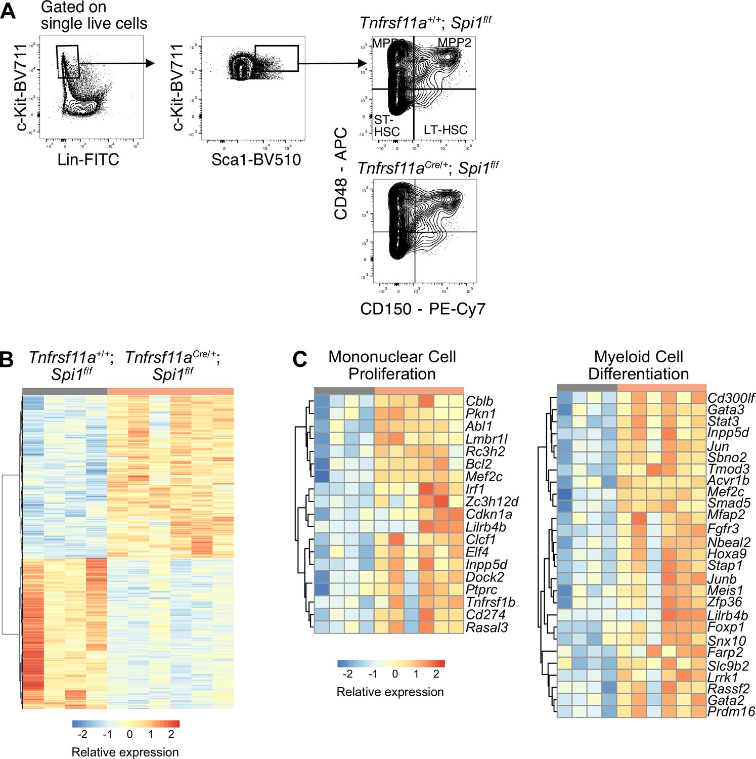 Figures and data in Fetal liver macrophages contribute to the ...