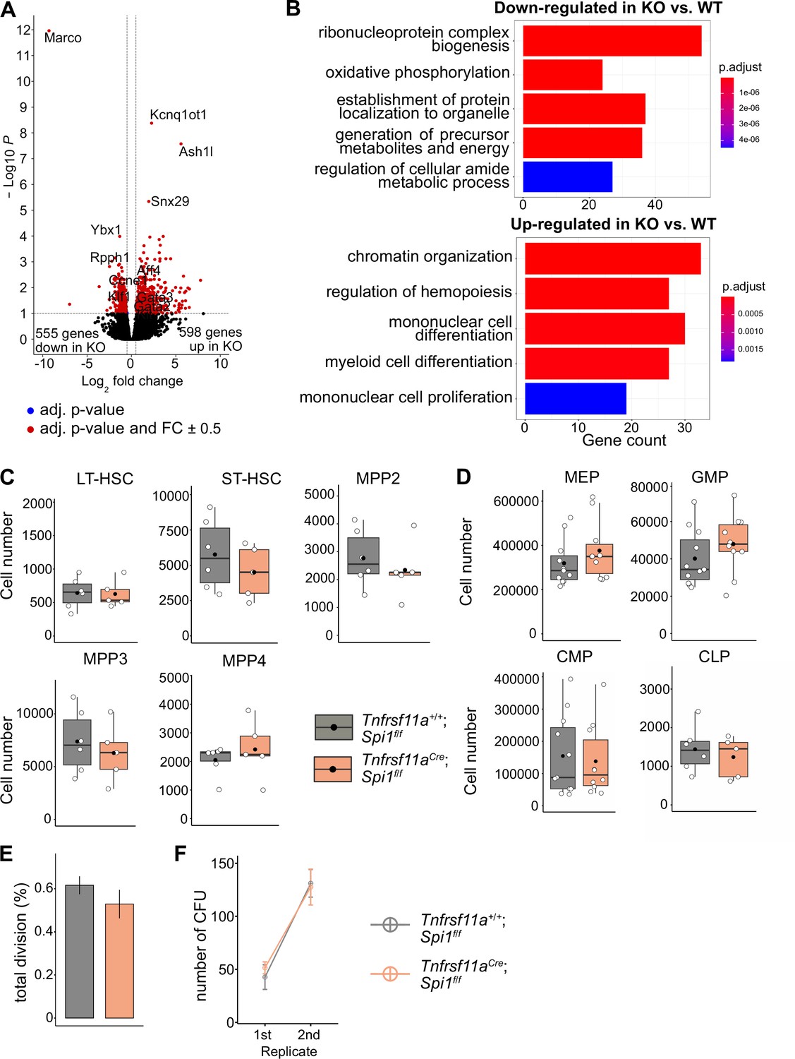 Figures and data in Fetal liver macrophages contribute to the ...