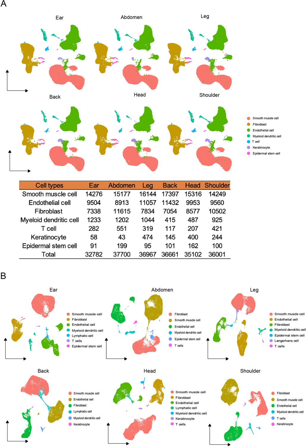 Figures And Data In A Single-cell Transcriptome Atlas Of Pig Skin ...