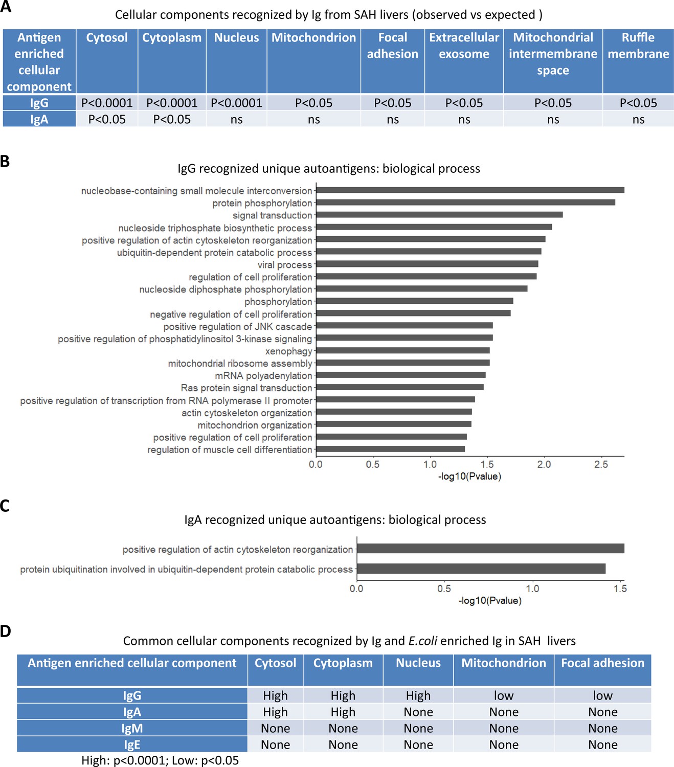 Discovery and characterization of cross-reactive intrahepatic 