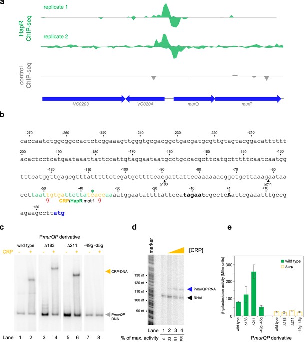 A simple mechanism for integration of quorum sensing and cAMP ...