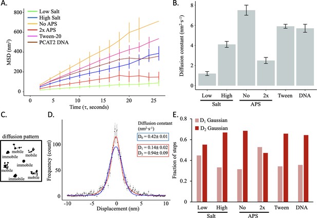 Single molecule analysis of CENP-A chromatin by high-speed atomic force ...