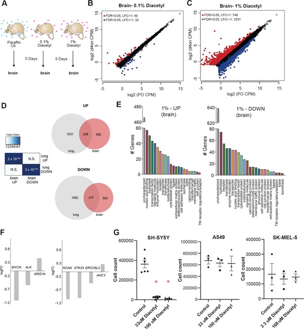 Plasticity Of Gene Expression In The Nervous System By Exposure To ...