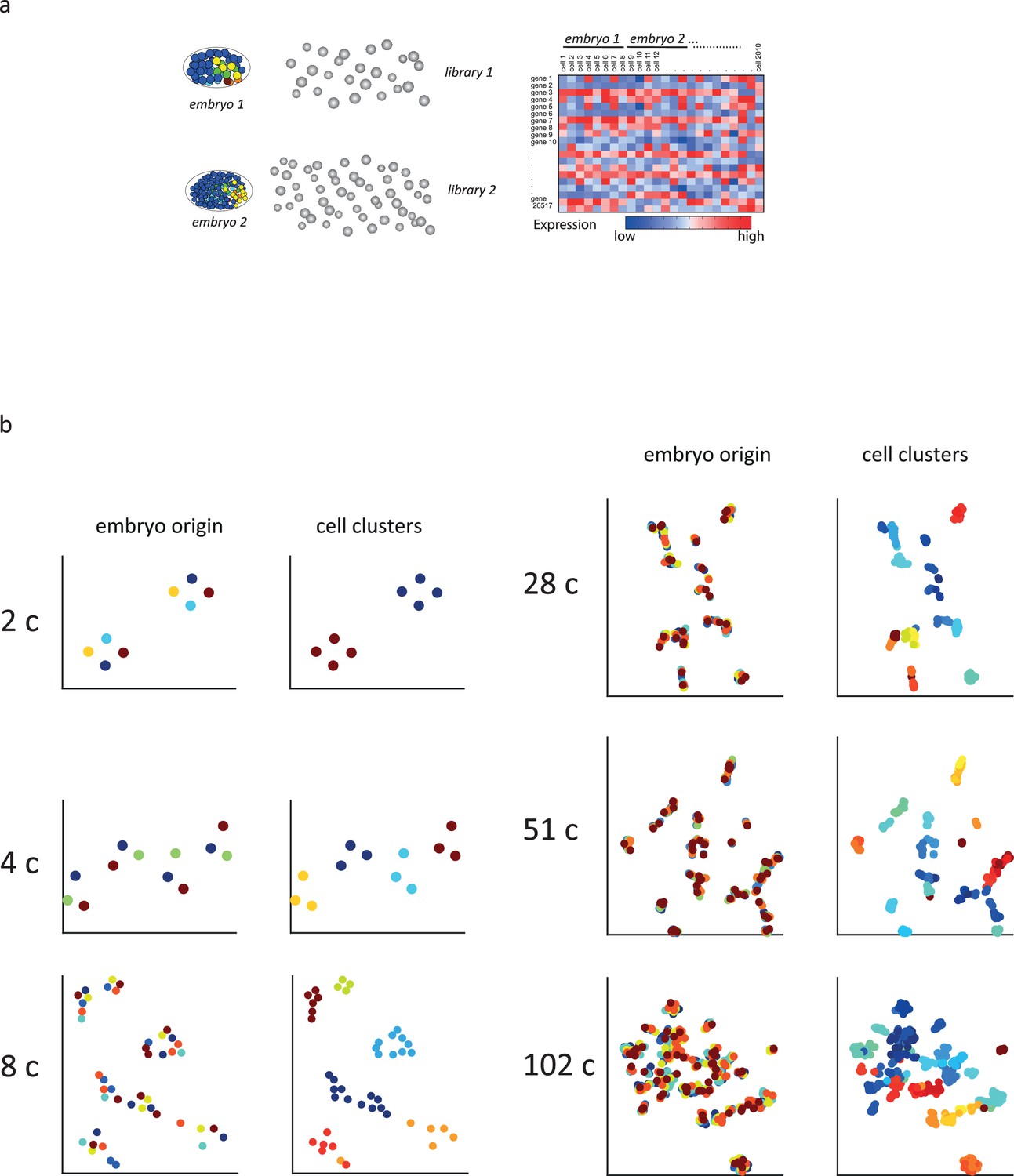 Figures and data in Gene regulatory patterning codes in early cell fate ...