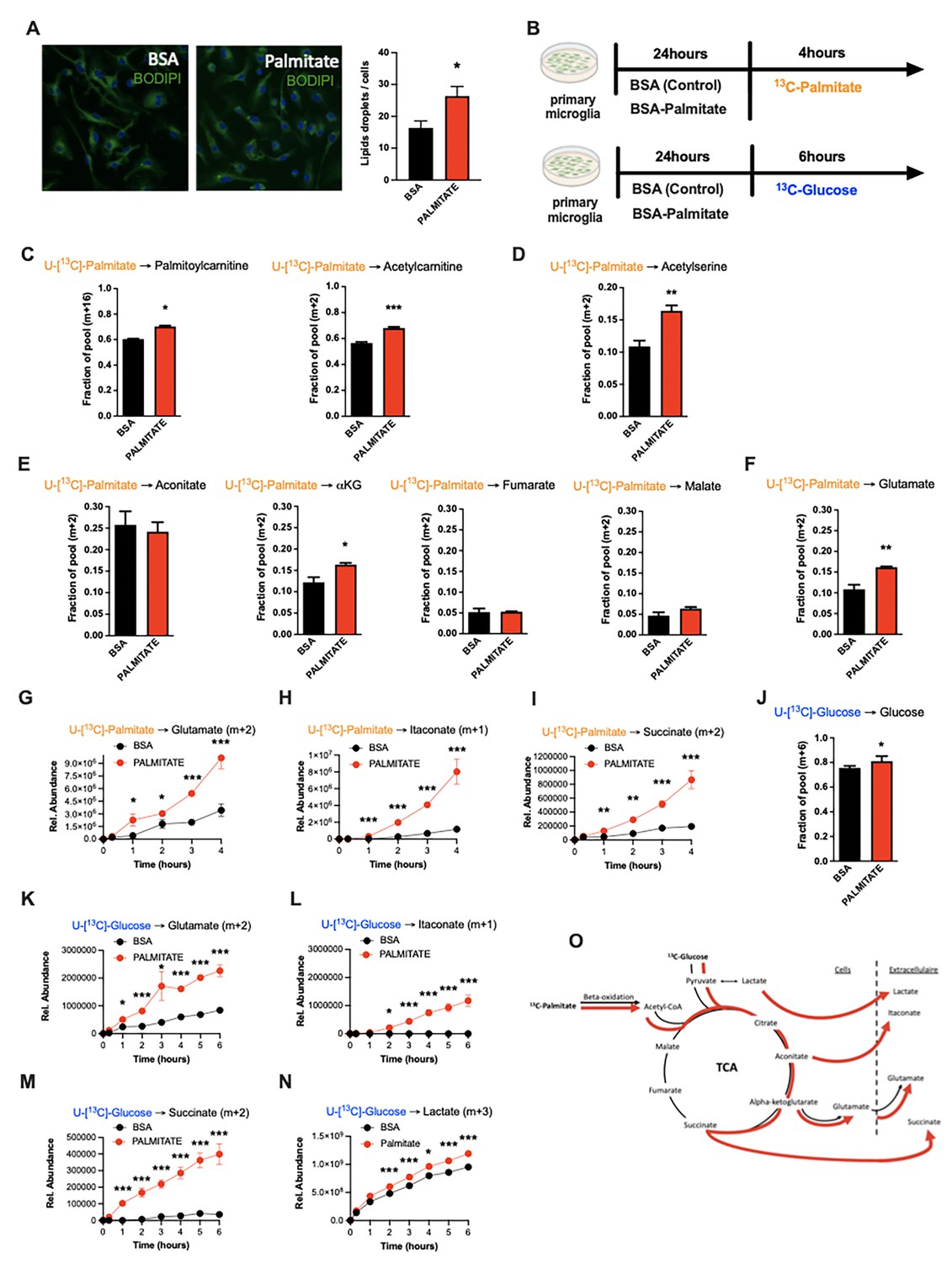 CDC20-Mediated hnRNPU Ubiquitination Regulates Chromatin Condensation and  Anti-Cancer Drug Response