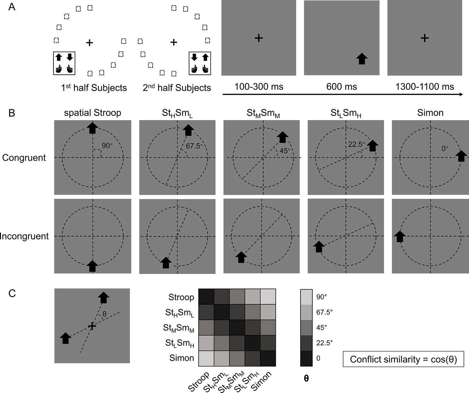 Dorsolateral prefrontal activity supports a cognitive space