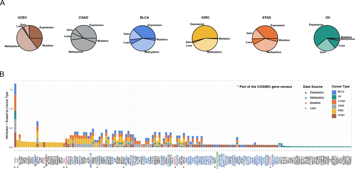 description of gene mutations in UCEC. a Statistics of the number