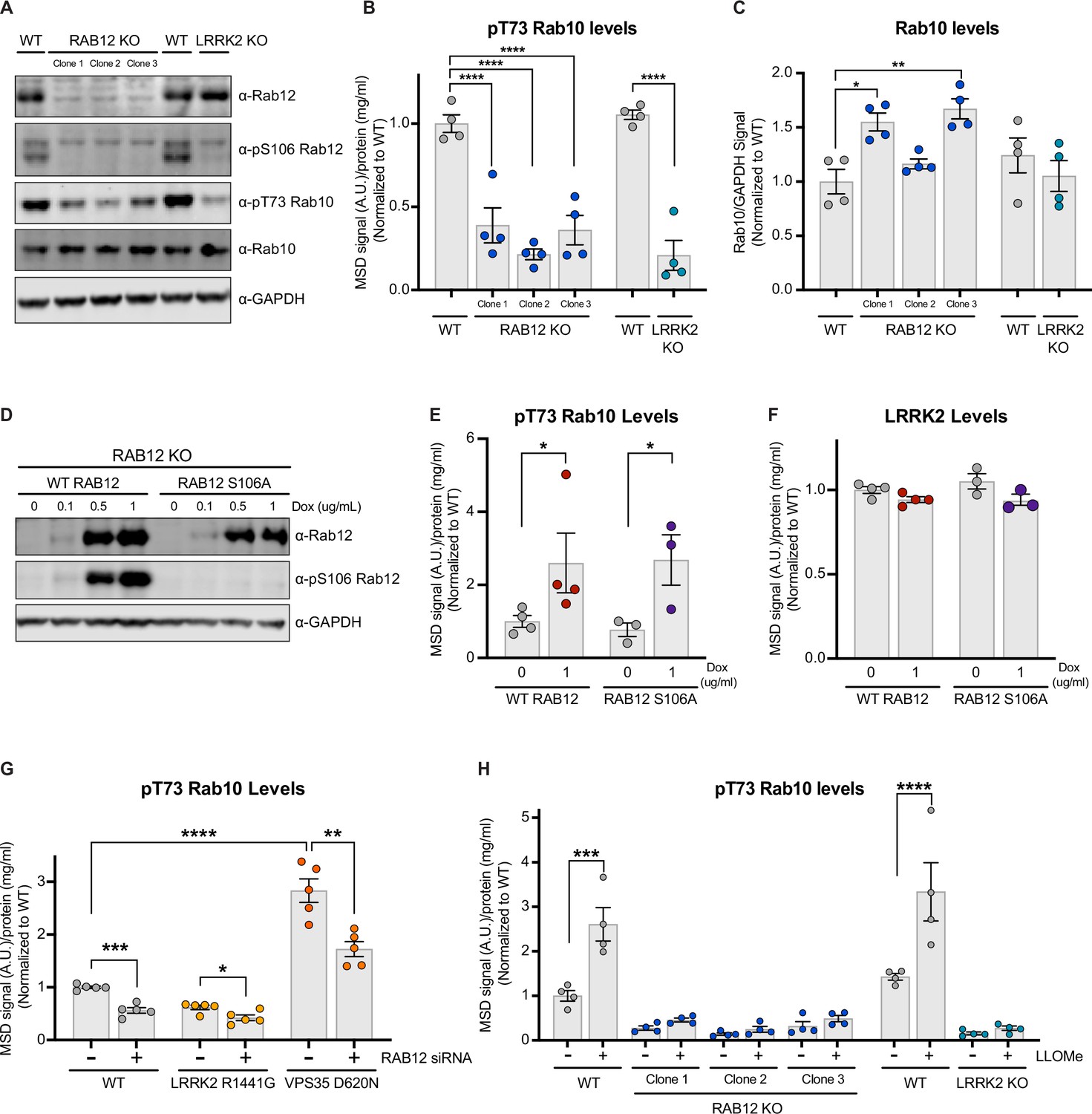 Rab12 is a regulator of LRRK2 and its activation by damaged lysosomes ...