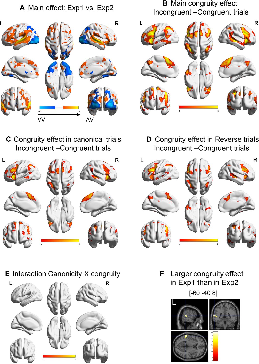 Consciousness