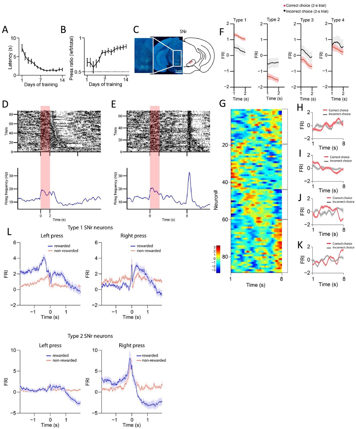 Figures and data in Multiple dynamic interactions from basal ganglia ...