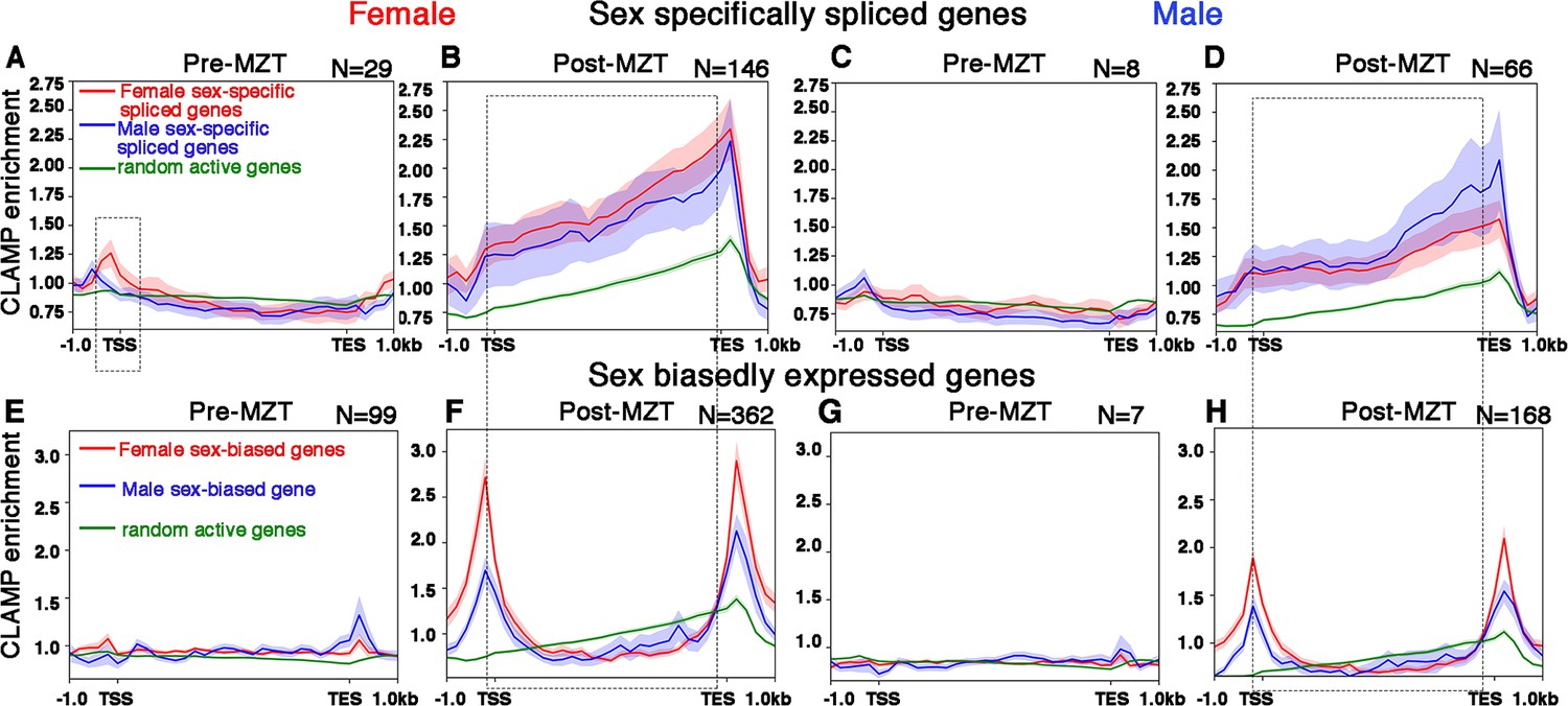 Sex-specific splicing occurs genome-wide during early Drosophila  embryogenesis | eLife