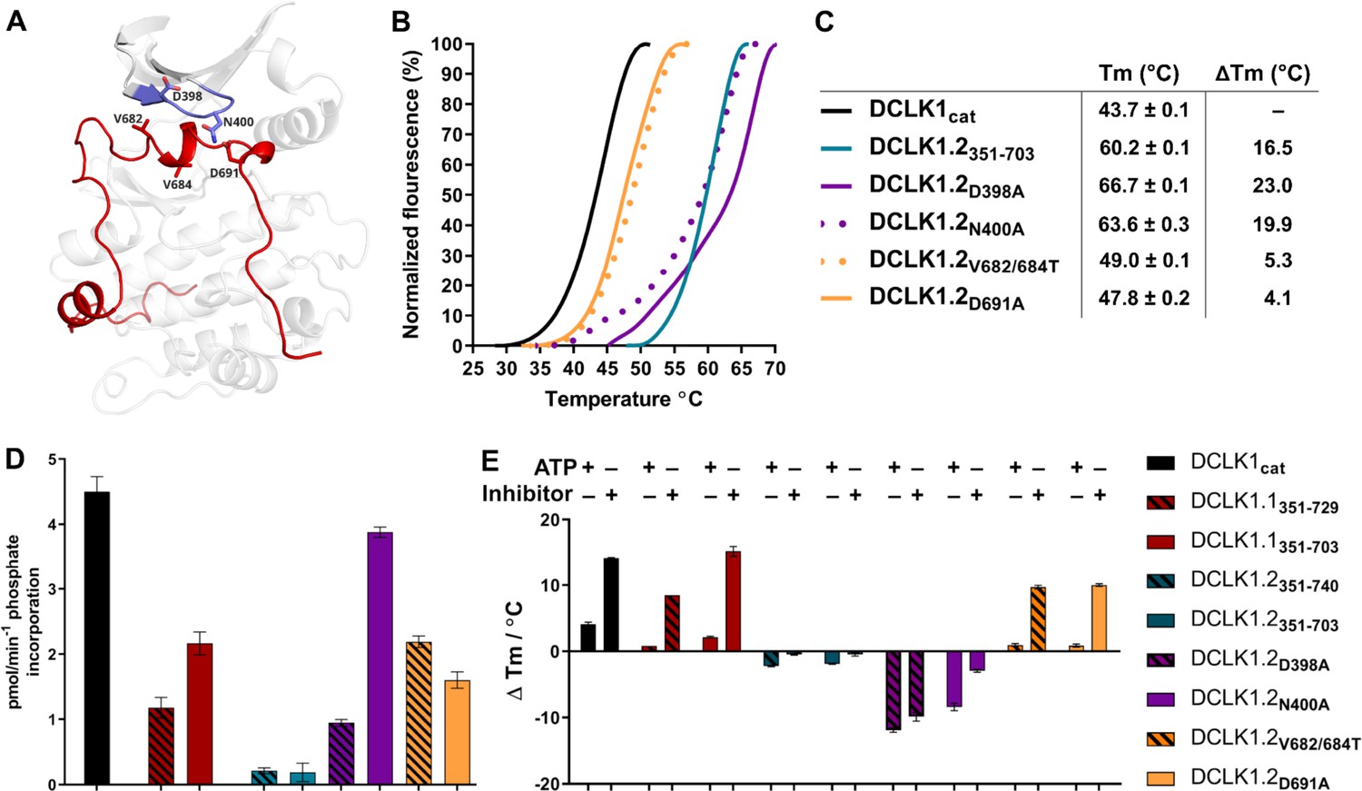 Mechanistic and evolutionary insights into isoform specific