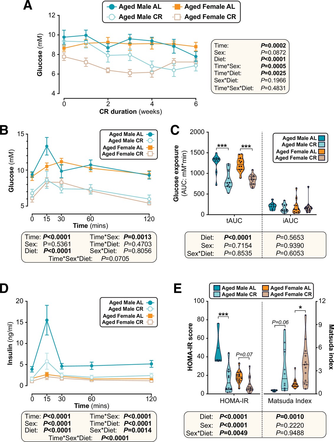 The Effects Of Caloric Restriction On Adipose Tissue And Metabolic