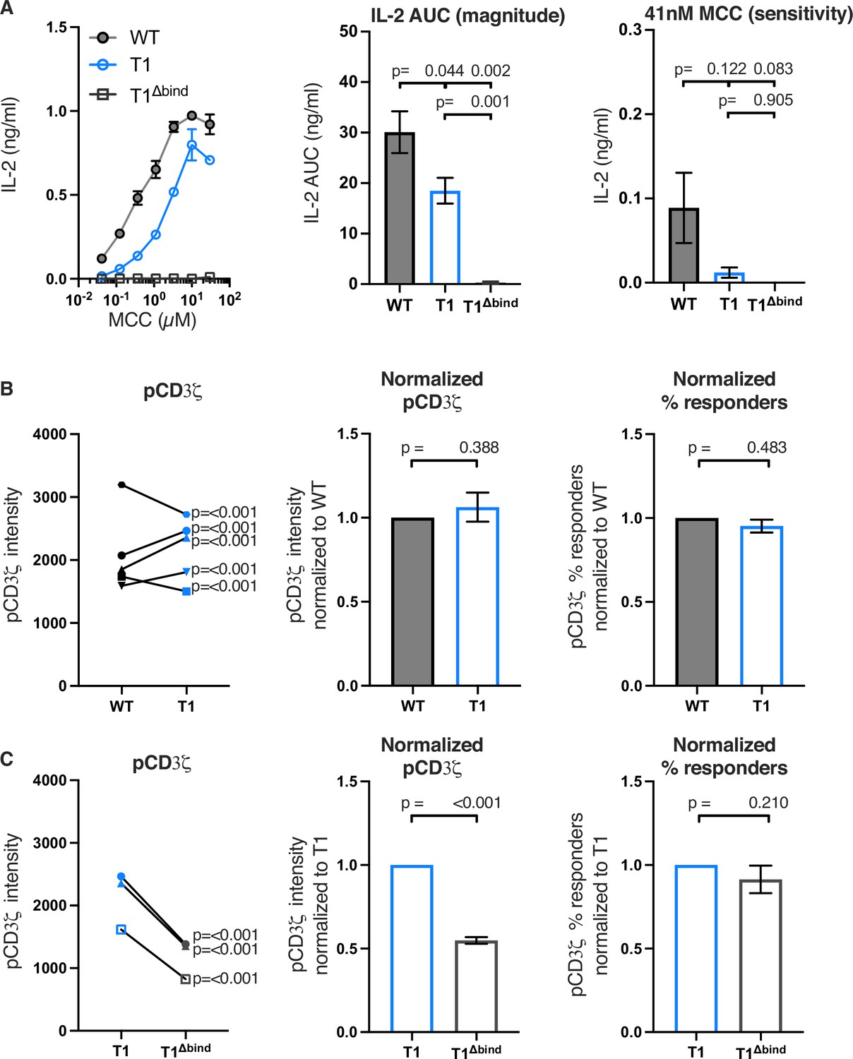 The CD4 transmembrane GGXXG and juxtamembrane (C/F)CV+C motifs mediate ...