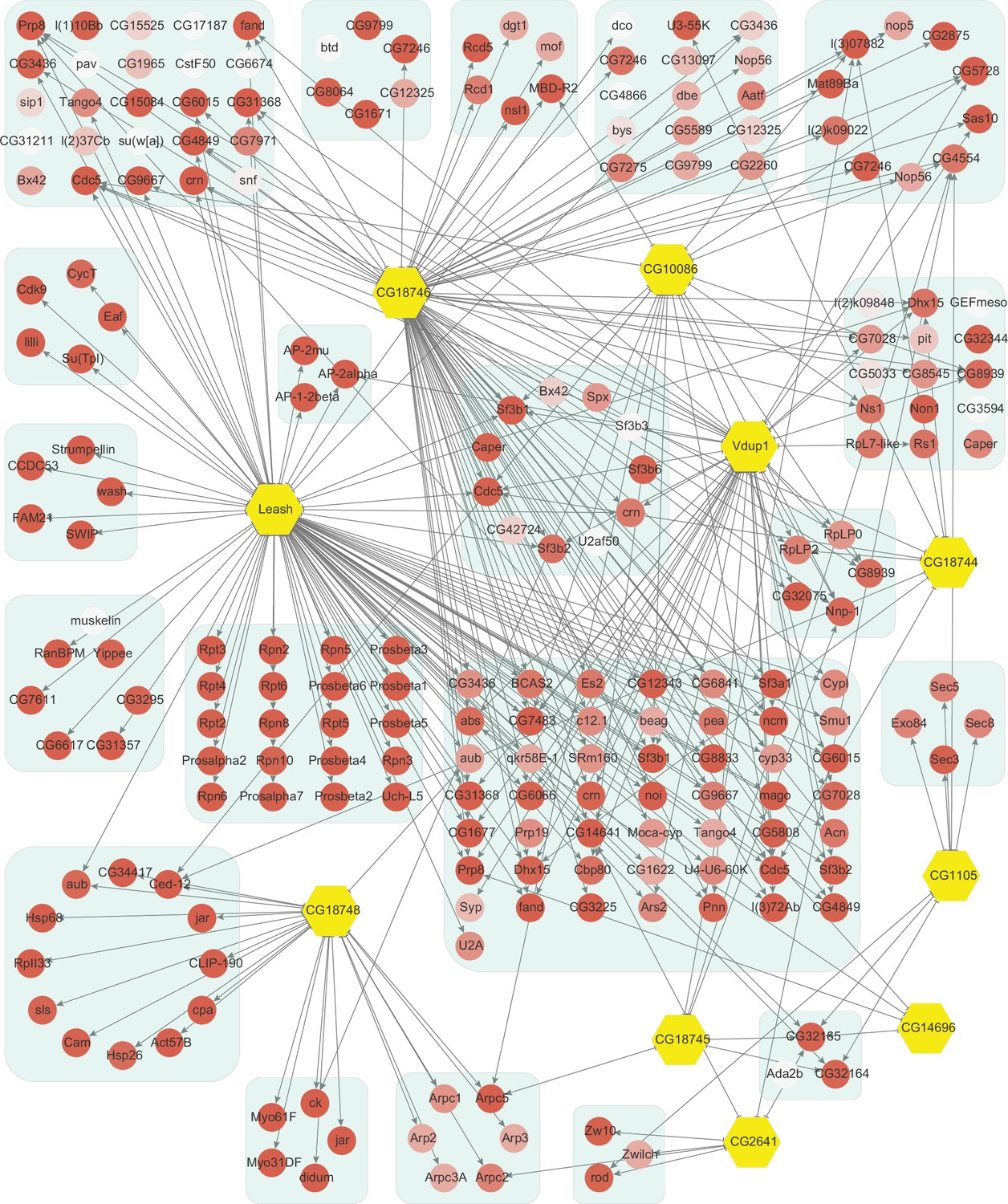 Comparative interactome analysis of α-arrestin families in