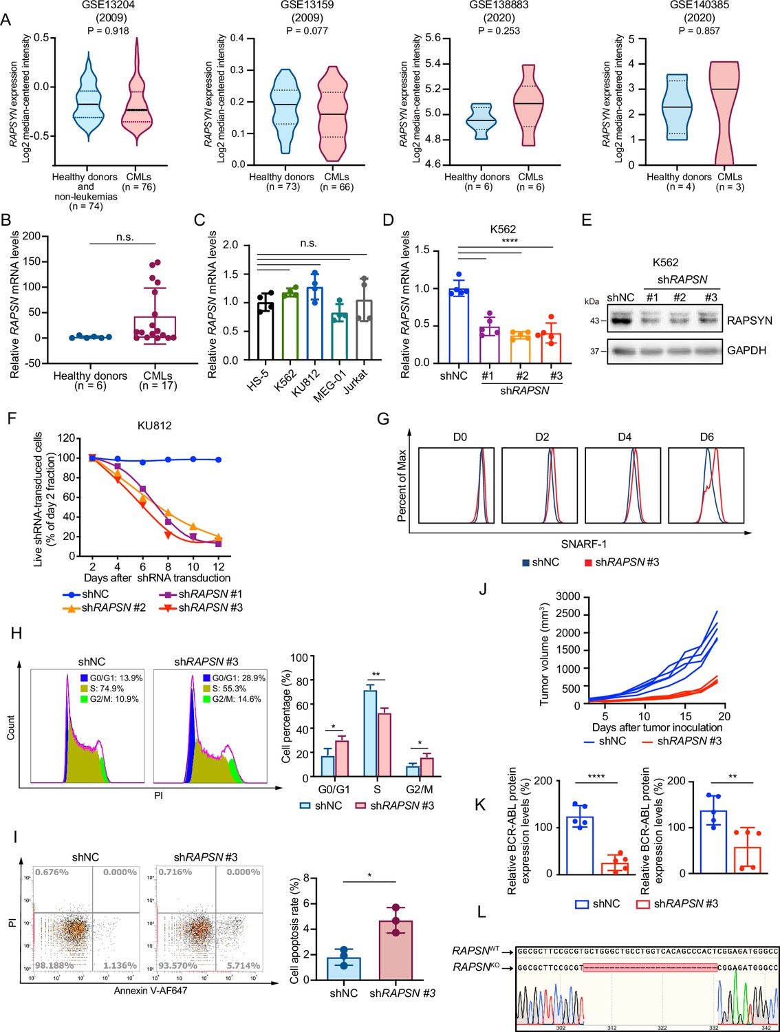 Figures and data in RAPSYN-mediated neddylation of BCR-ABL ...