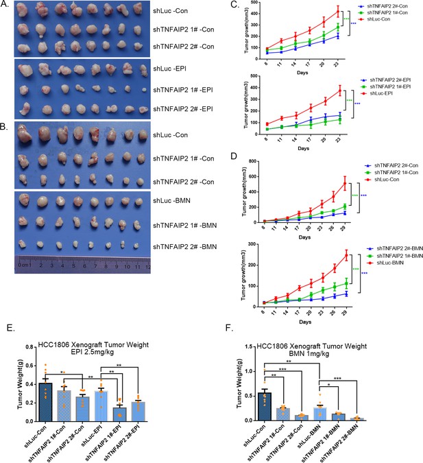 Integrin Promotes Dna Damage Related Drug Resistance In Triple