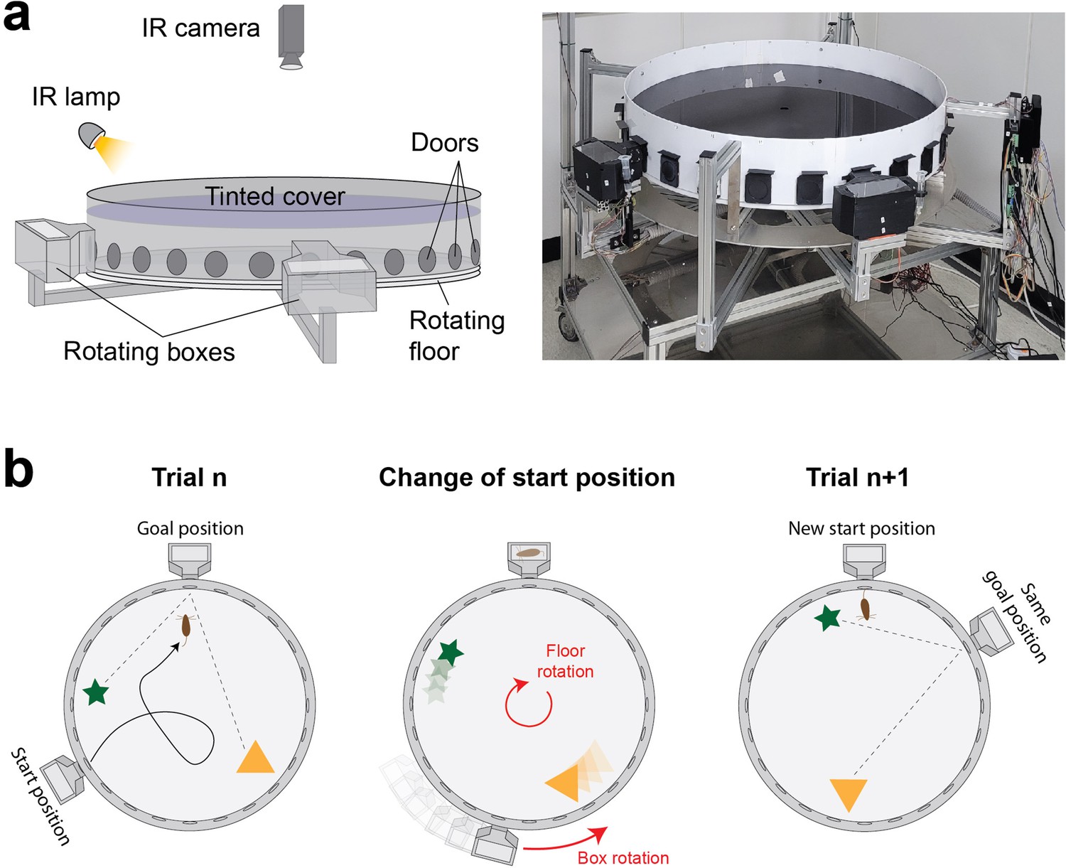 Stochastic characterization of navigation strategies in an automated ...