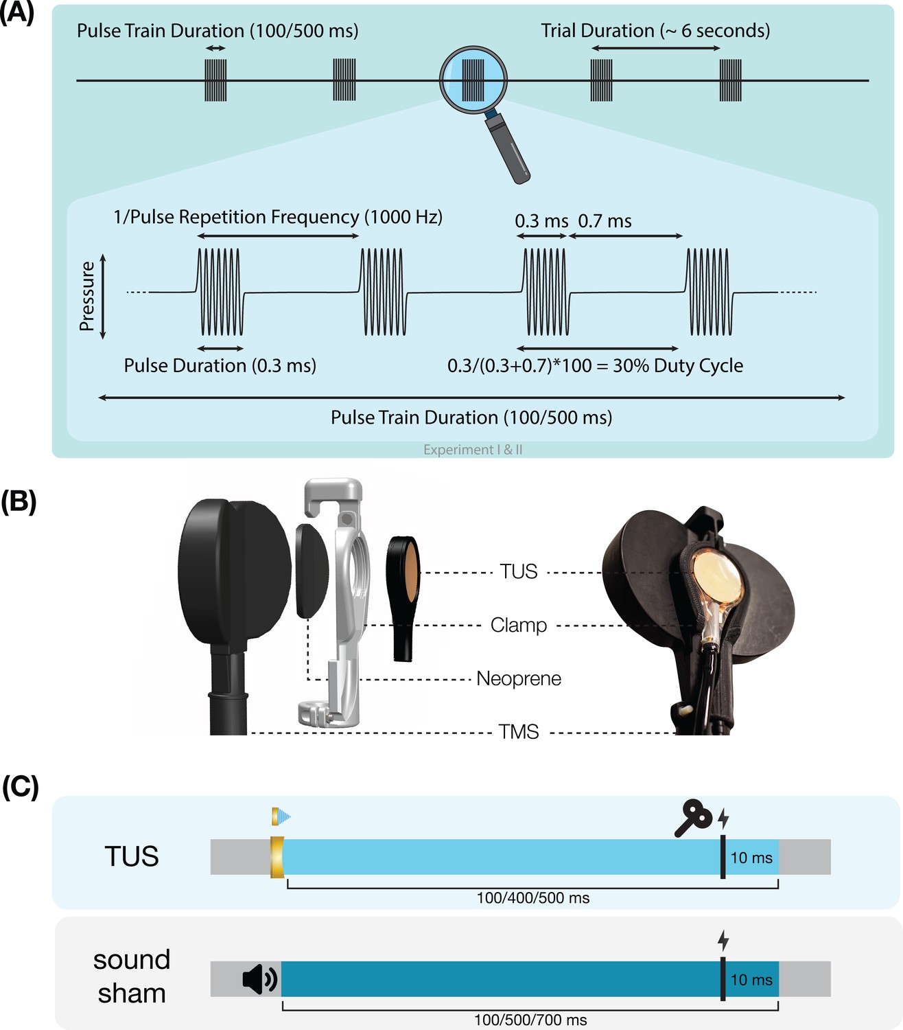 Auditory confounds can drive online effects of transcranial ultrasonic  stimulation in humans | eLife