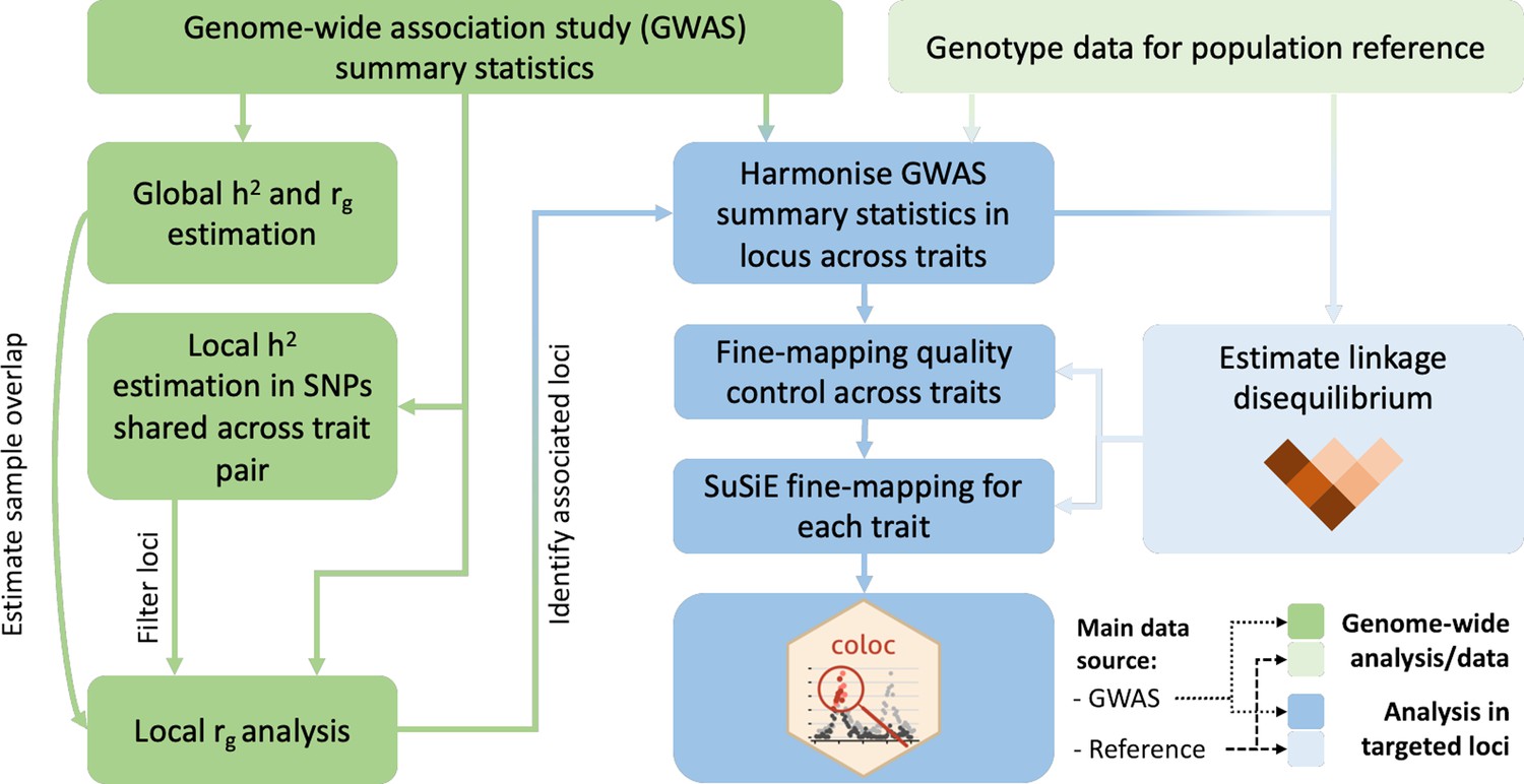 Statistical examination of shared loci in neuropsychiatric