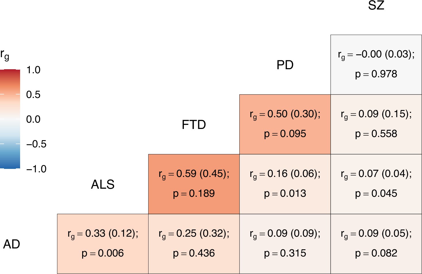 ファッション of examination Statistical shared neuropsychiatric in loci ジャケット・アウター