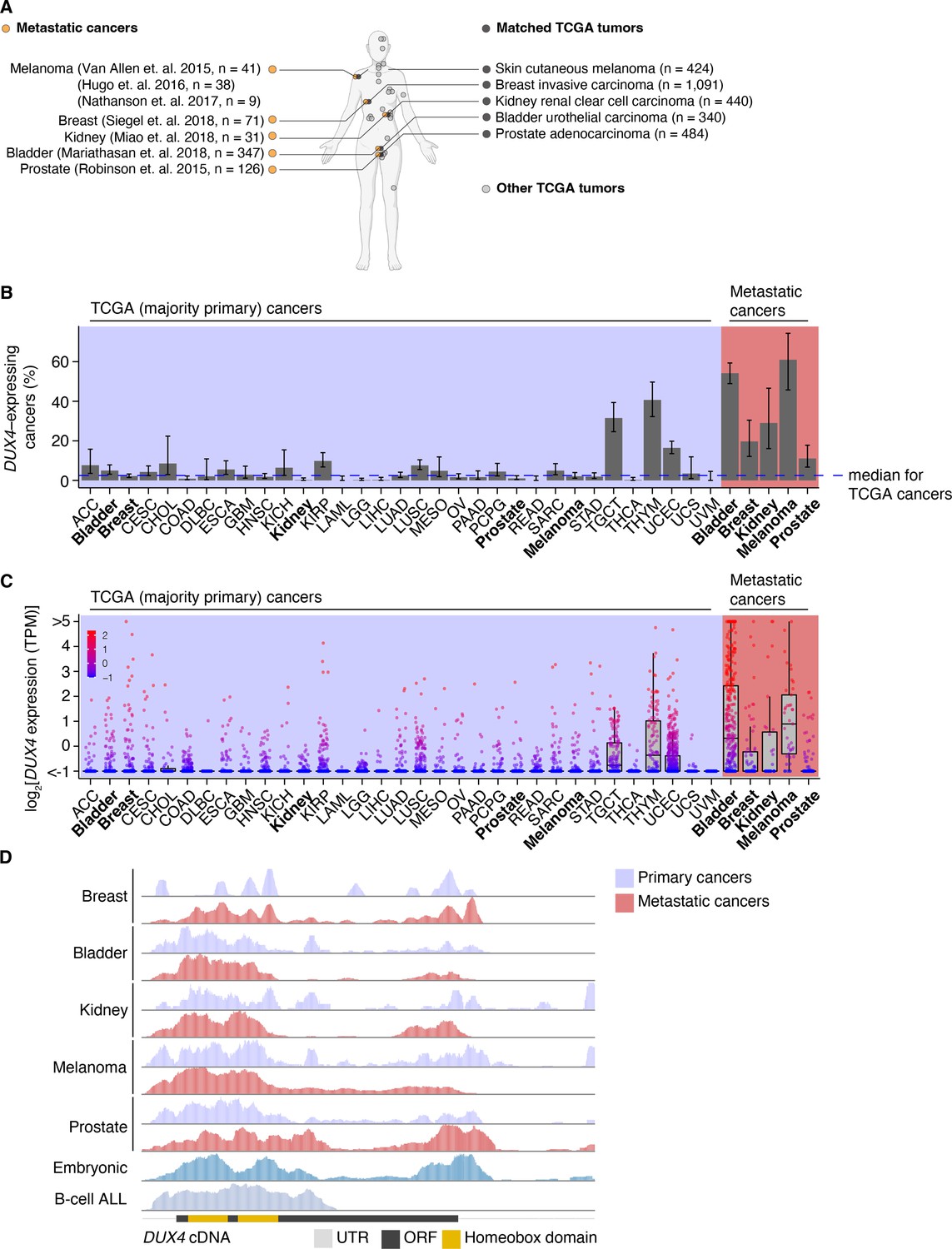 DUX4 is a common driver of immune evasion and immunotherapy failure in  metastatic cancers | eLife