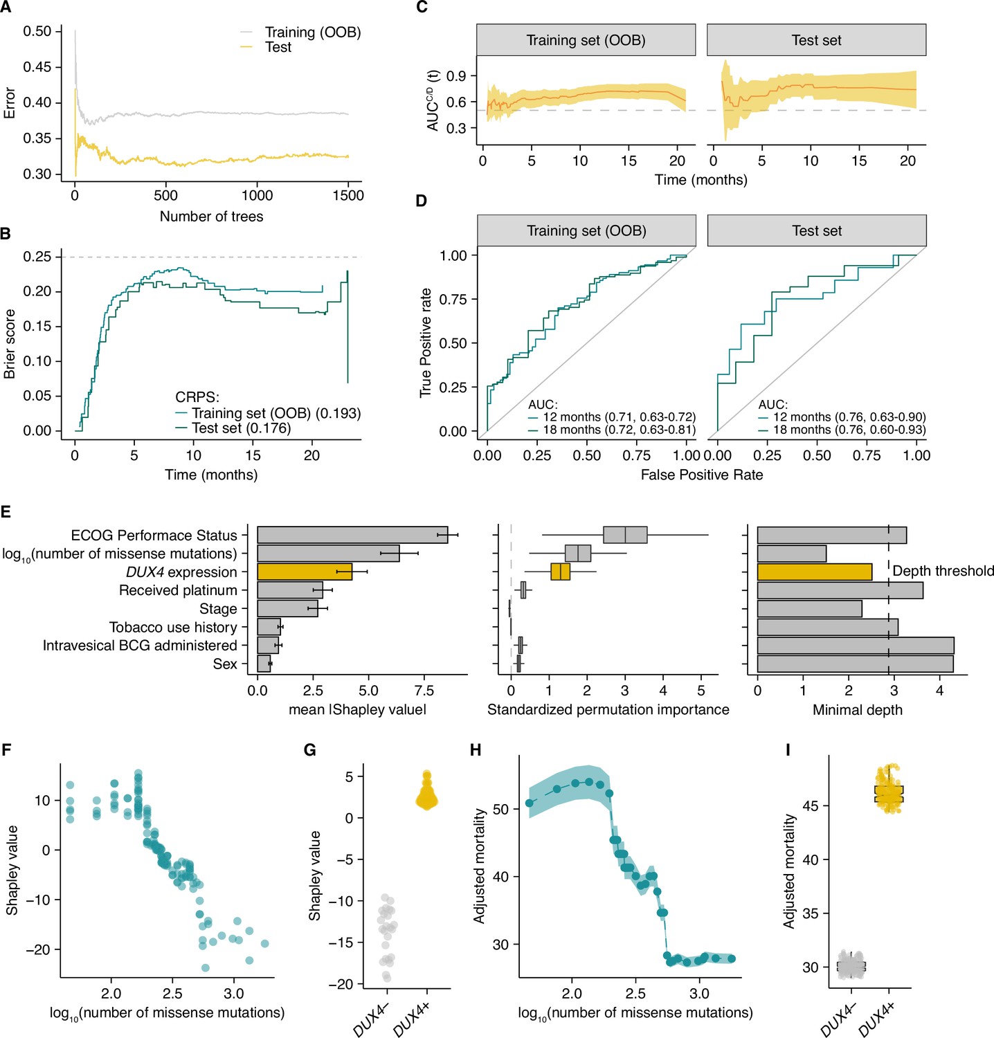 T helper 1 effector memory CD4+ T cells protect the skin