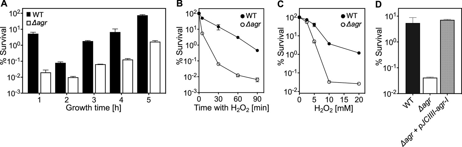 Quorum-sensing agr system of Staphylococcus aureus primes gene ...