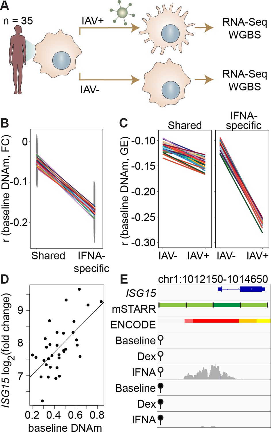 DNA methylation-environment interactions in the human genome Biology Diagrams