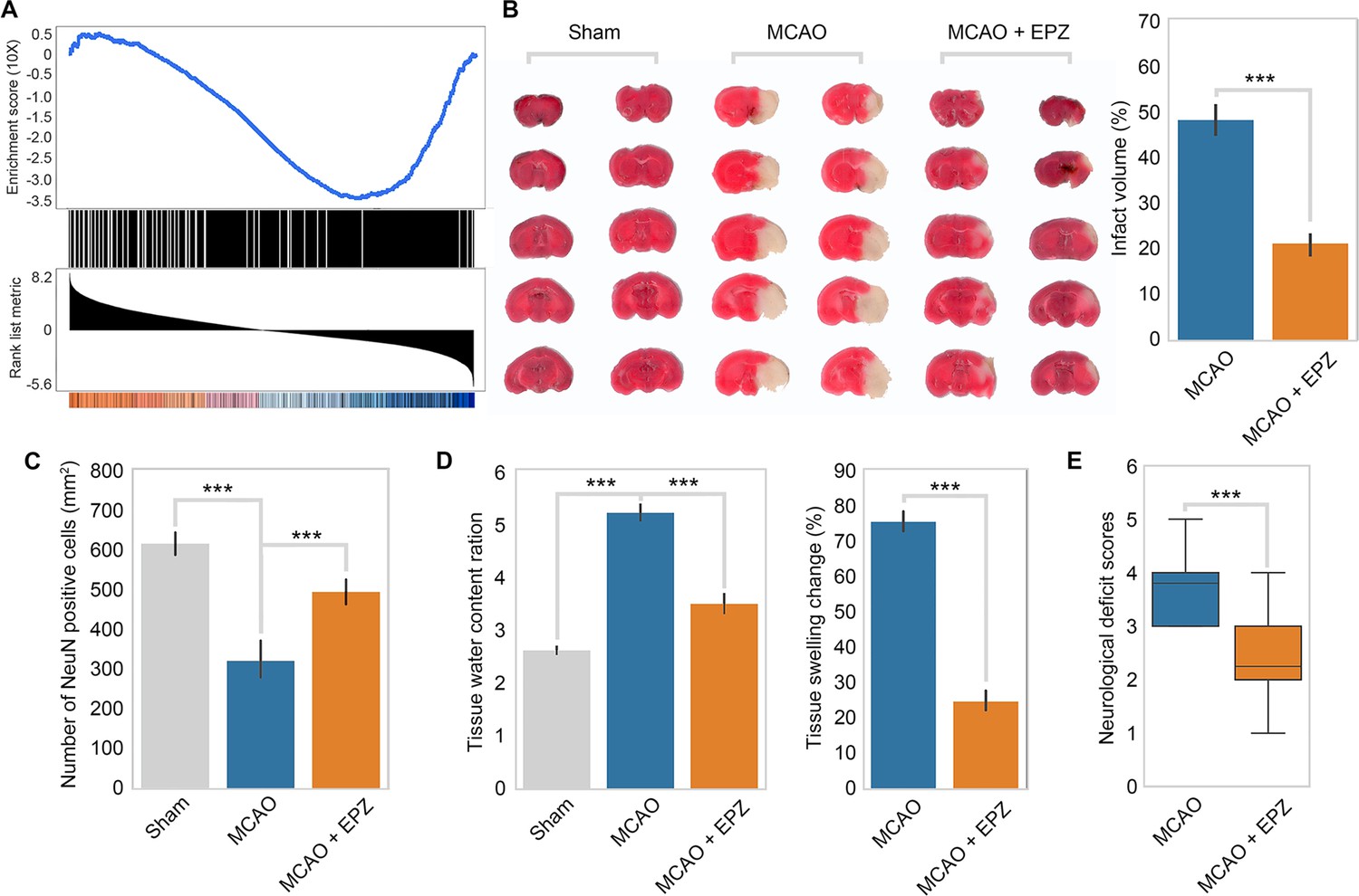 Figures and data in genetic screen identified prmt5 as a