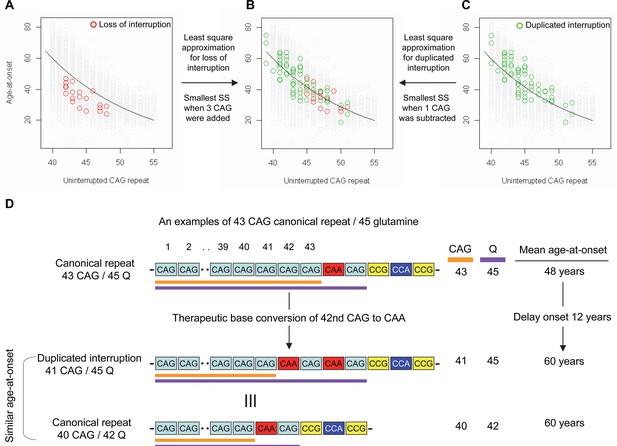 Base editing strategies to convert CAG to CAA diminish the disease ...