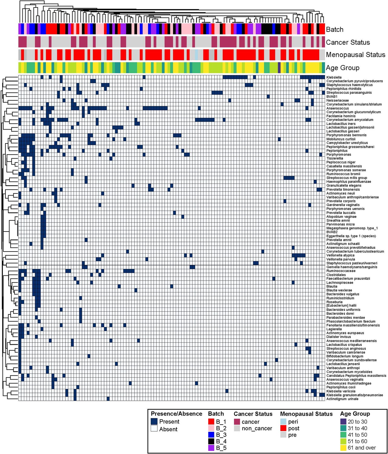 Identification Of Fallopian Tube Microbiota And Its Association With Ovarian Cancer Elife 7140