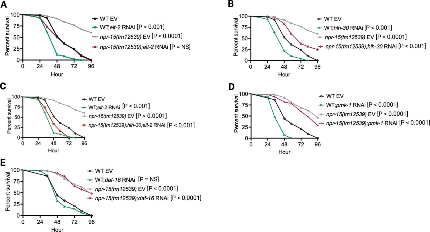 Figures and data in Neuronal NPR-15 modulates molecular and behavioral ...