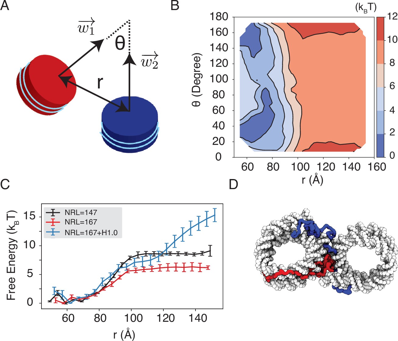 Explicit ion modeling predicts physicochemical interactions for chromatin  organization