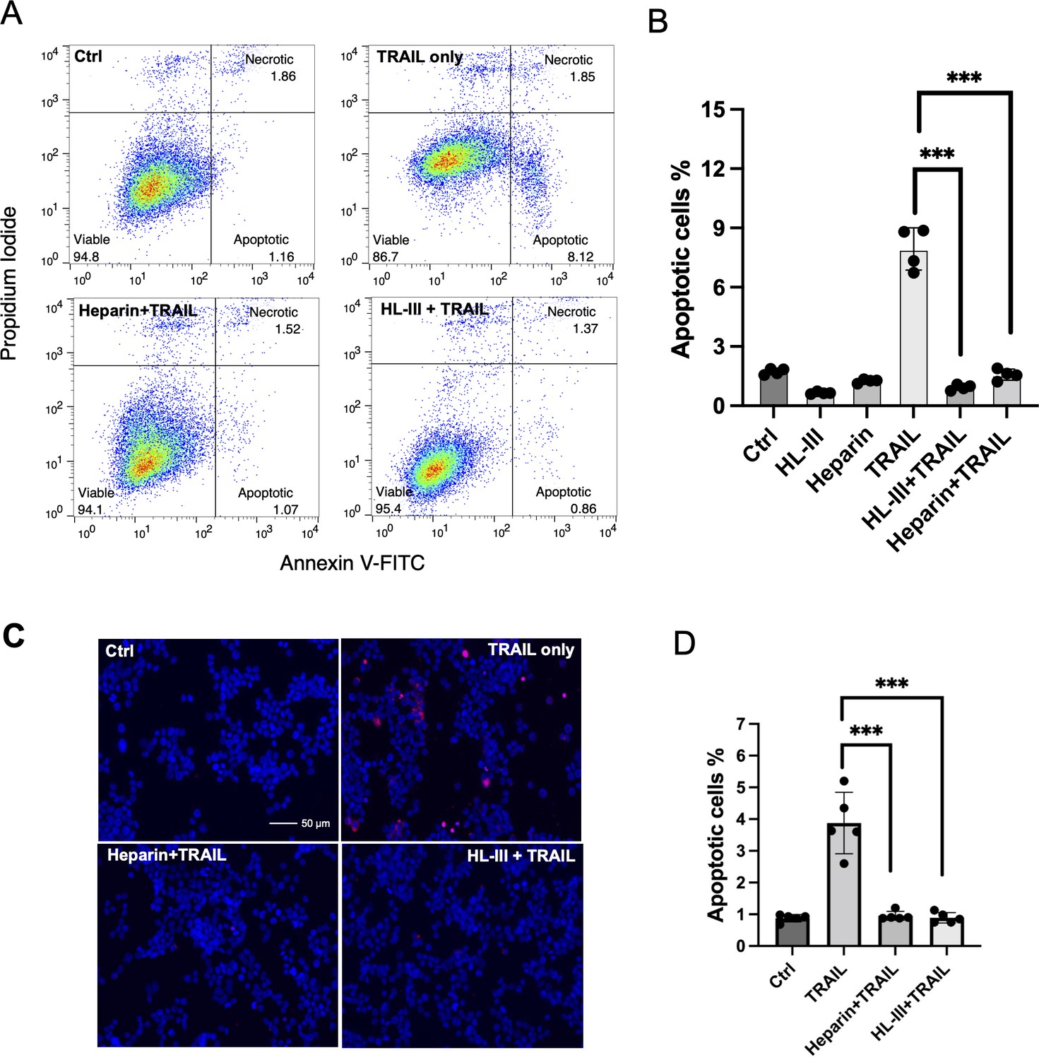 Heparan sulfate promotes TRAIL-induced tumor cell apoptosis