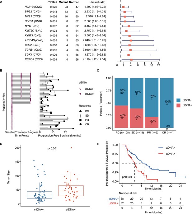 Dynamic analysis of circulating tumor DNA to predict the prognosis and ...