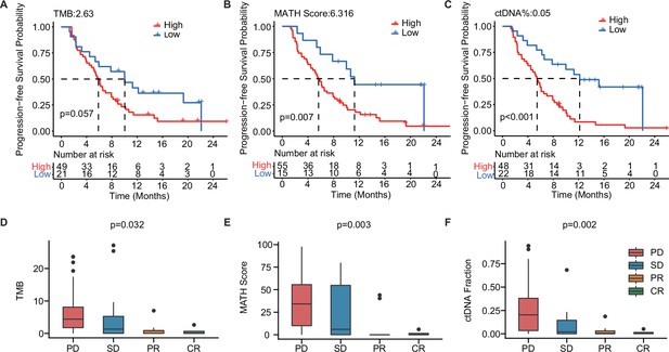 Dynamic Analysis Of Circulating Tumor DNA To Predict The Prognosis And