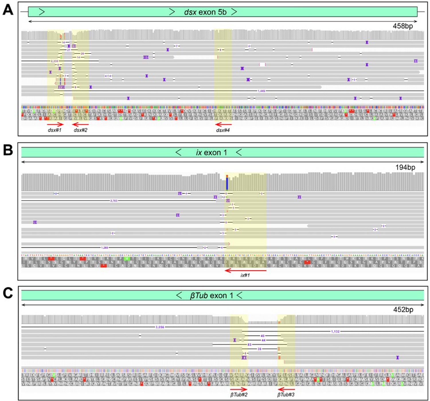 Figures And Data In Targeting Sex Determination To Suppress Mosquito Populations Elife