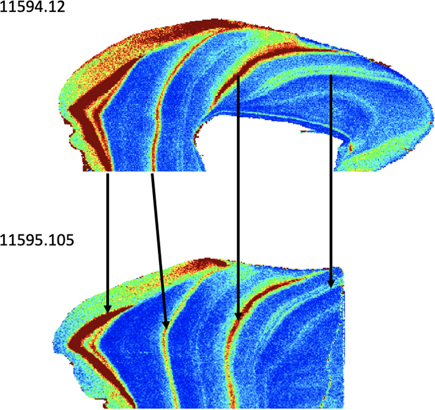 Figures and data in Oxygen isotopes in orangutan teeth