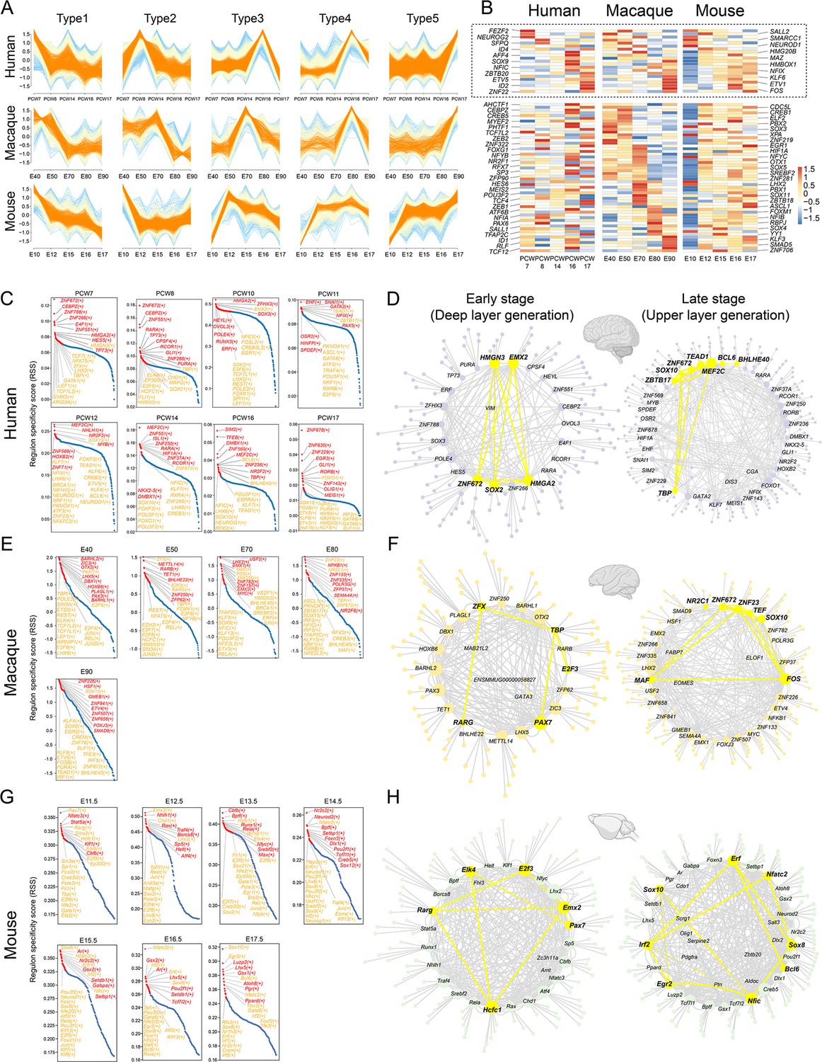 Temporal Transcriptomic Dynamics In Developing Macaque Neocortex ELife