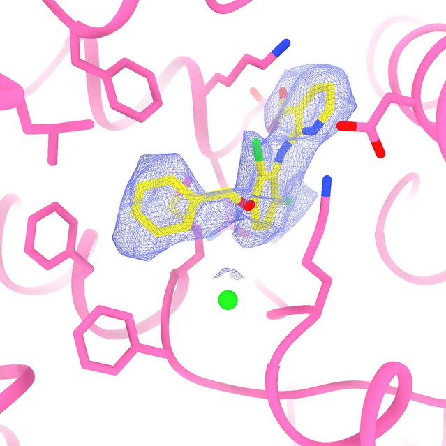 Cryoem Structures Of The Human Clc Voltage Gated Chloride Channel