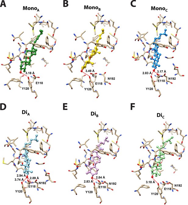 Figures and data in Novel sterol binding domains in bacteria | eLife