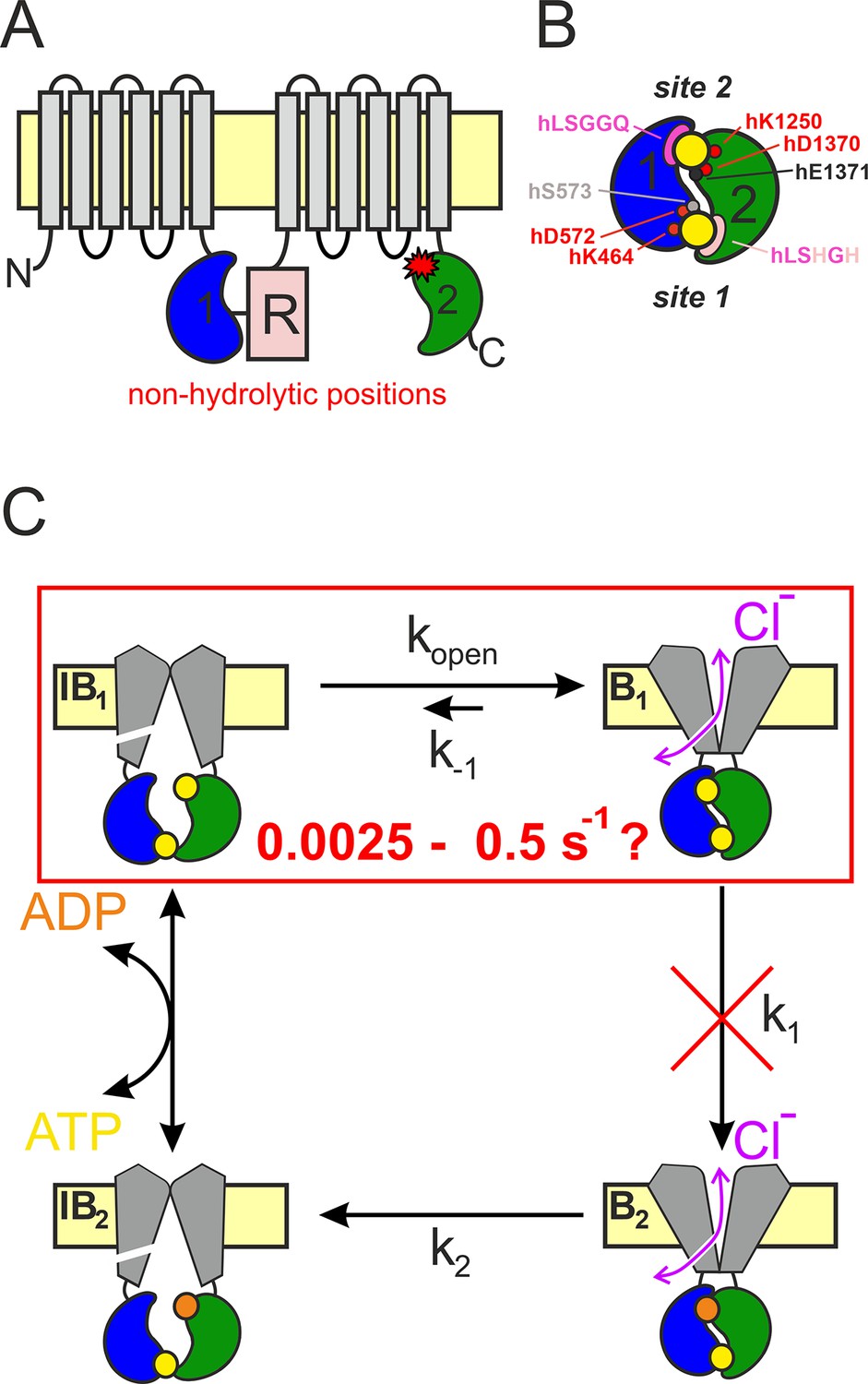 Figures and data in Estimating the true stability of the prehydrolytic ...