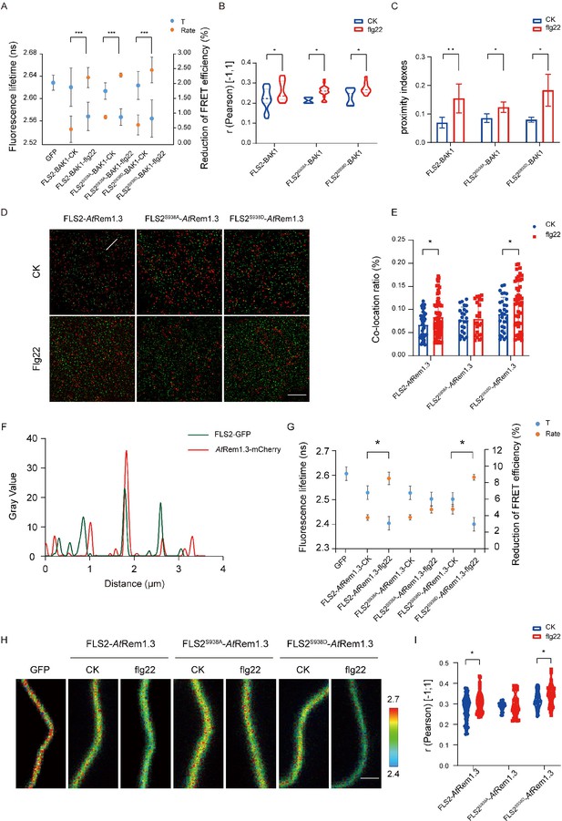 Single-molecule analysis reveals the phosphorylation of FLS2 governs ...