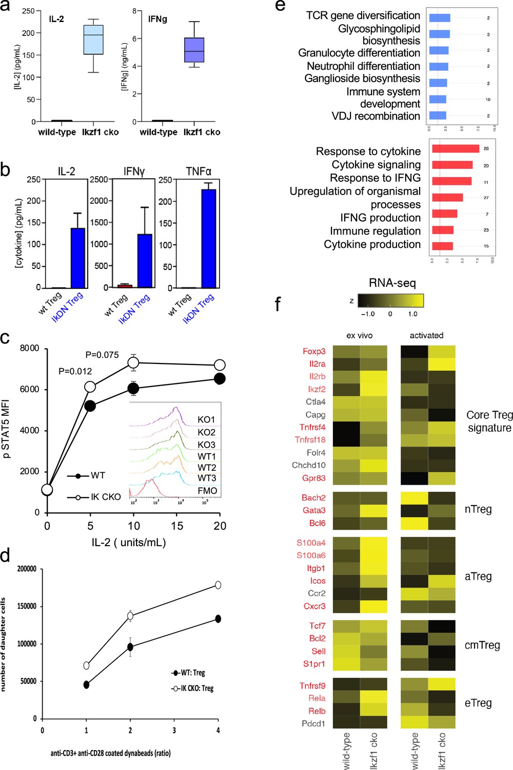 Figures and data in Foxp3 depends on Ikaros for control of regulatory T ...